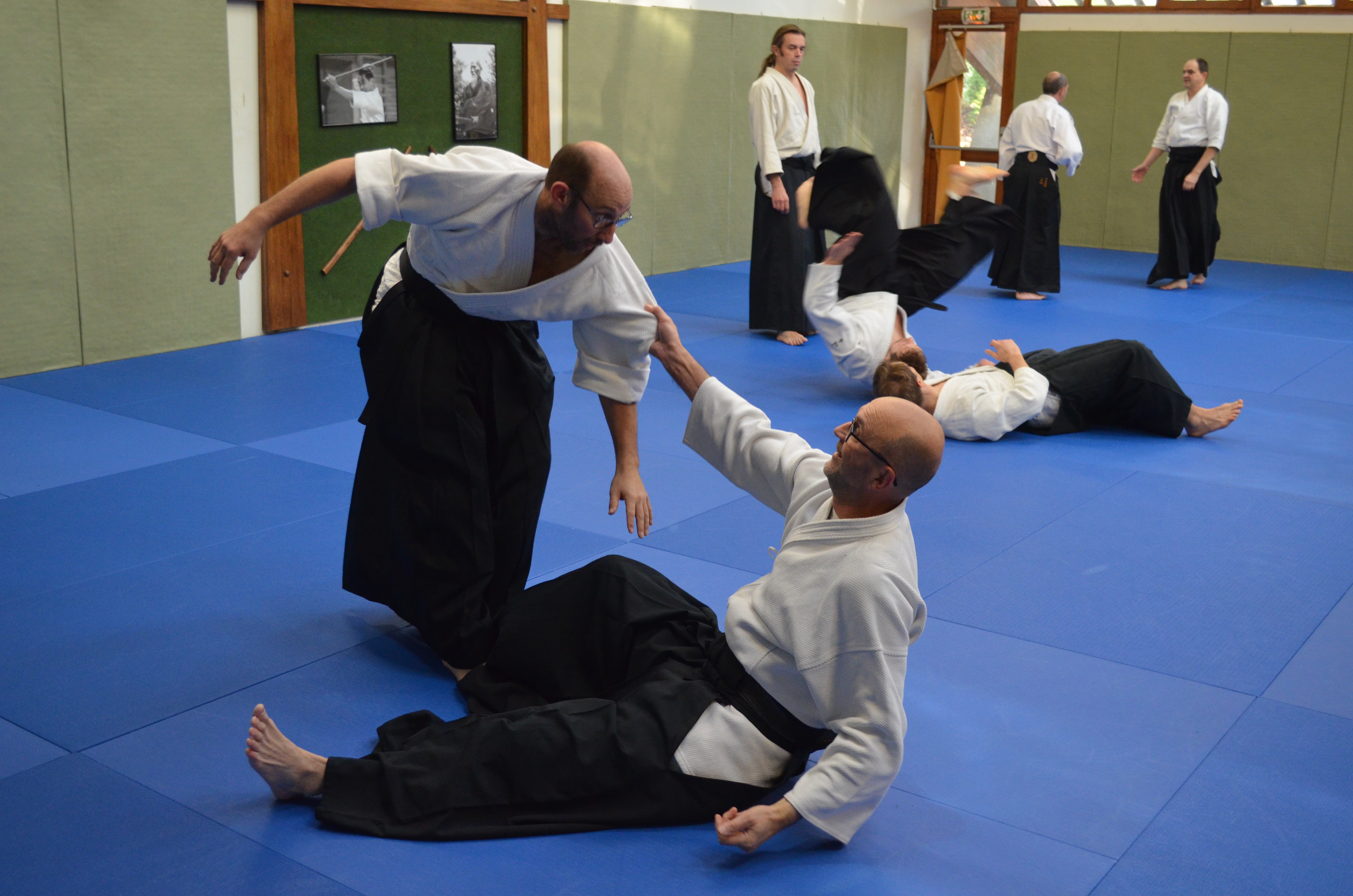 3_-_4_dec._2016__49_