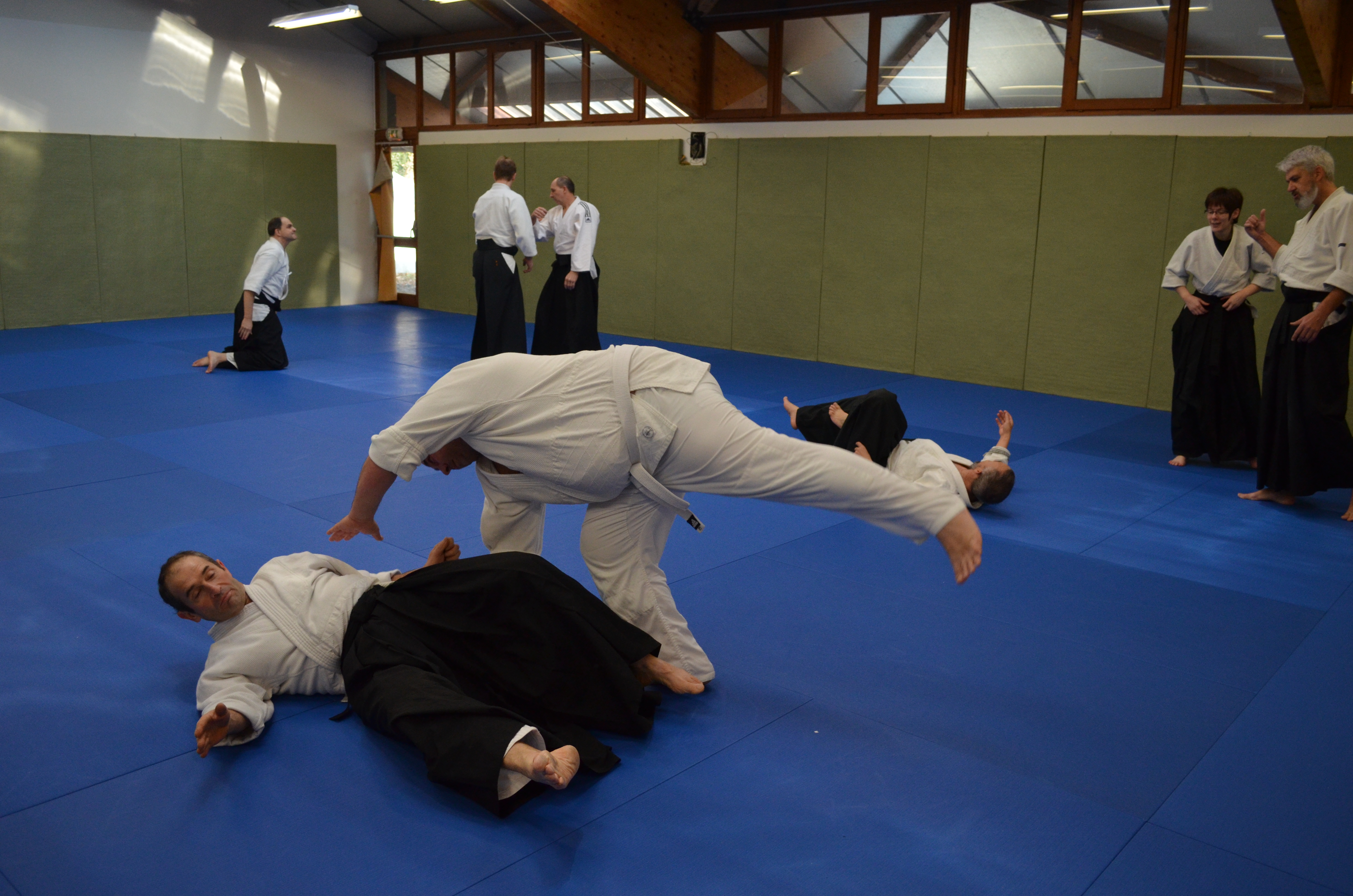 3_-_4_dec._2016__50_