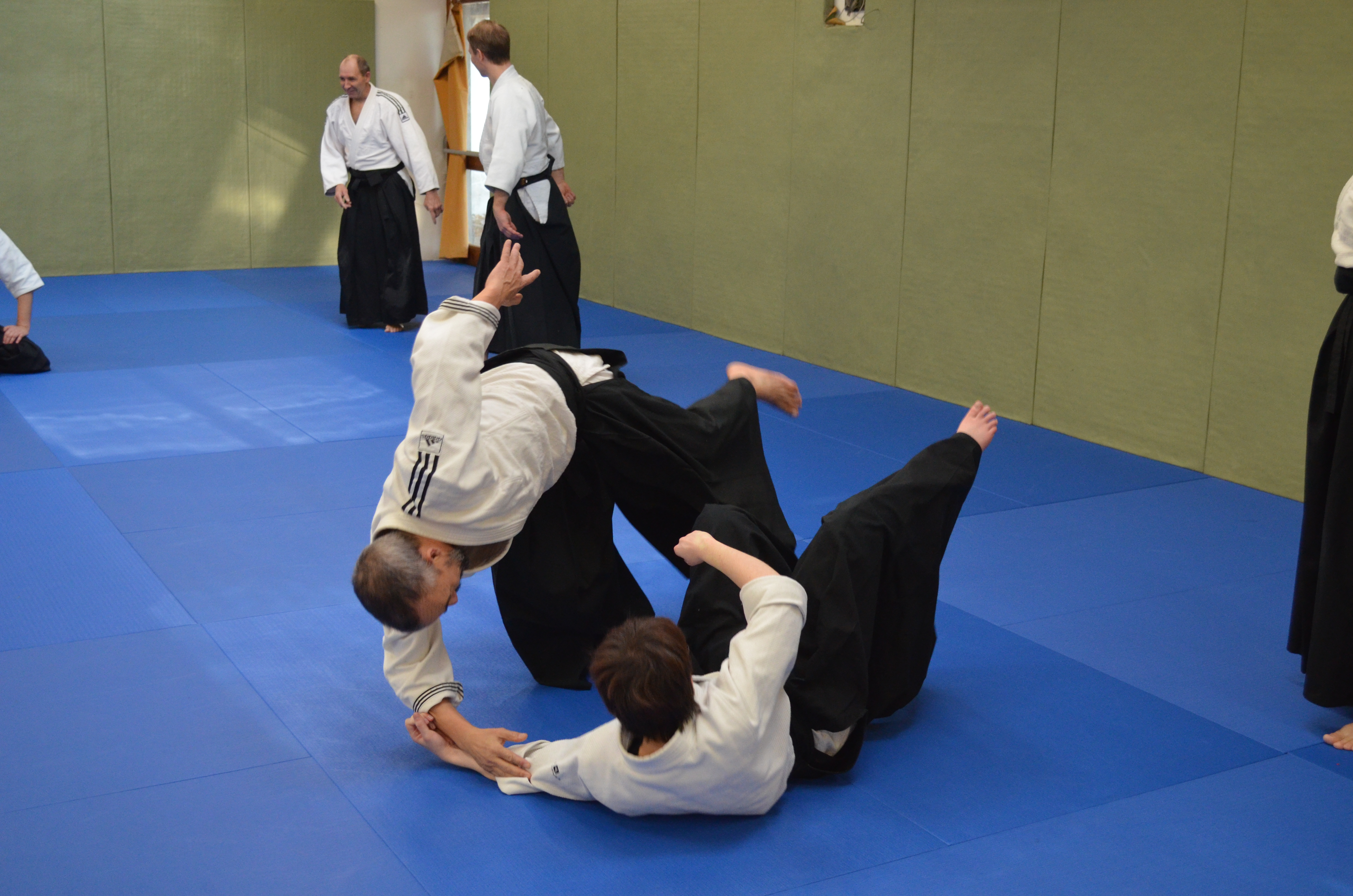 3_-_4_dec._2016__51_