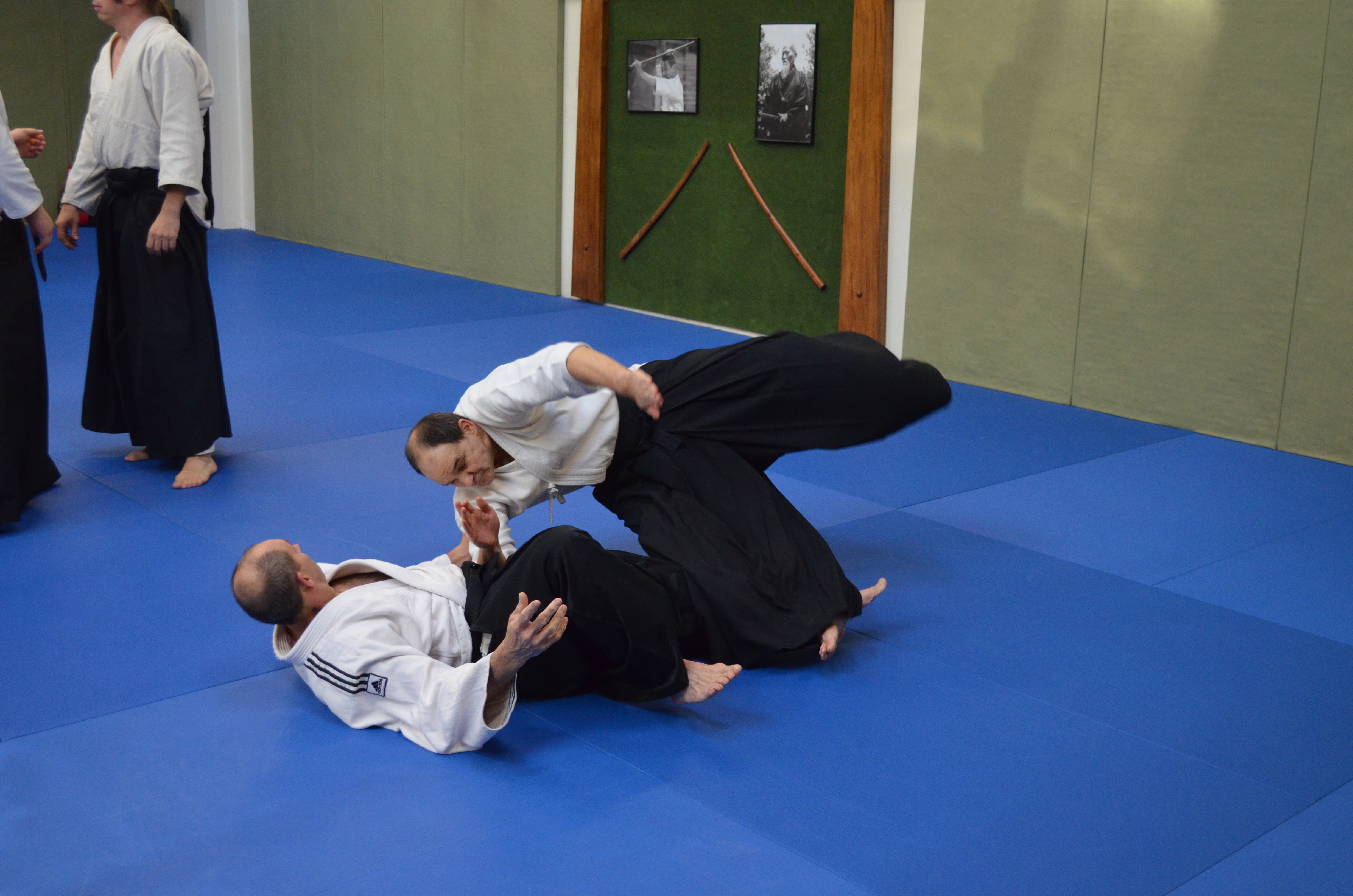 3_-_4_dec._2016__52_