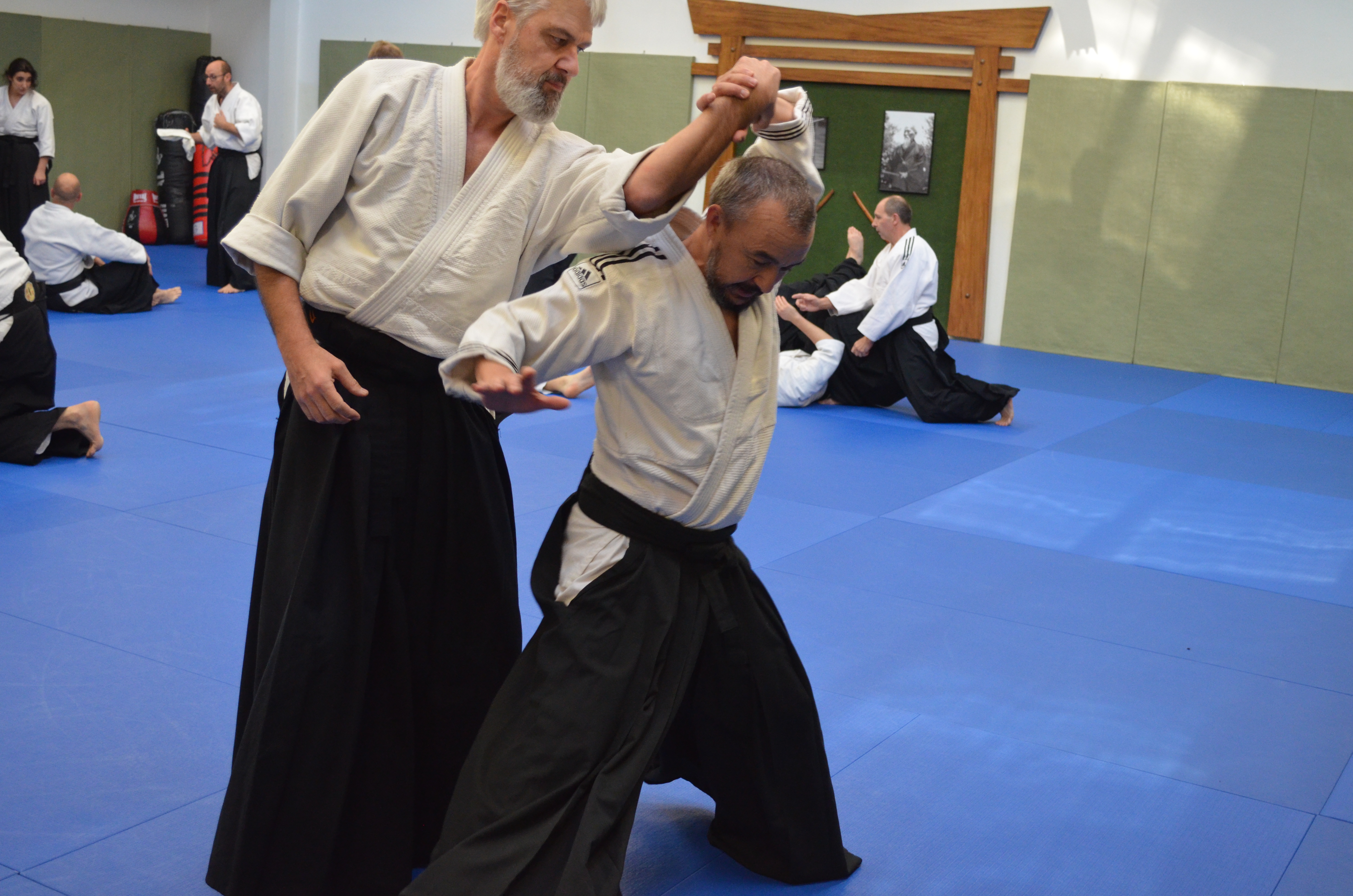 3_-_4_dec._2016__55_