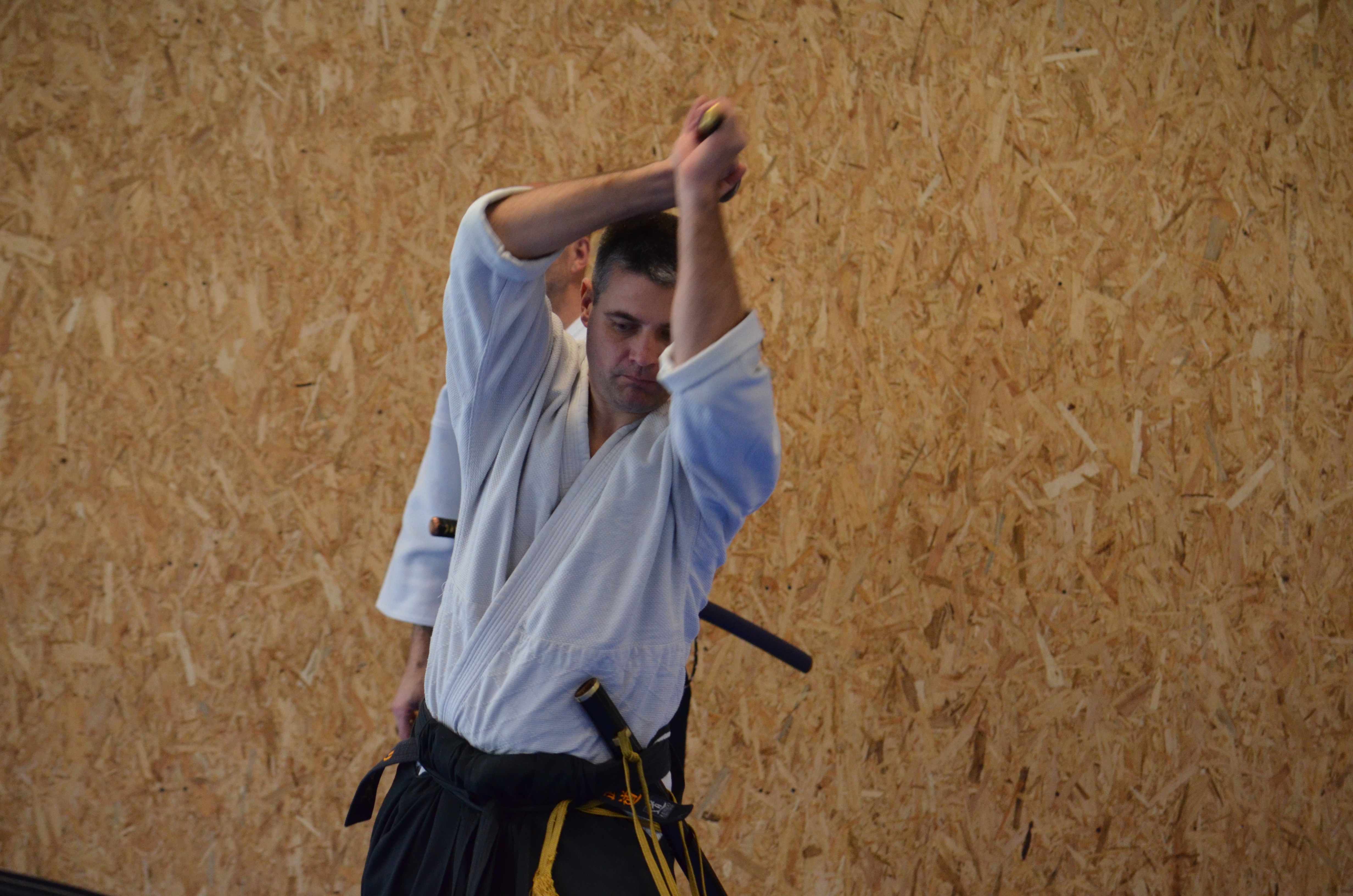 stage_St_Maximin_2015_045.JPG
