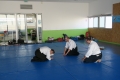 3 (11)